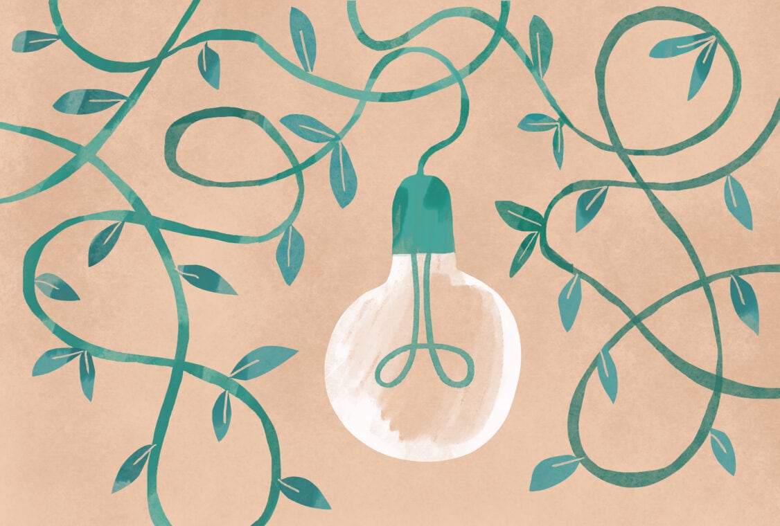 green energy concept background with electric light bulb connected from a green climbing plant