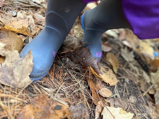 A close-up photo of a child's boots on leaf-covered ground.