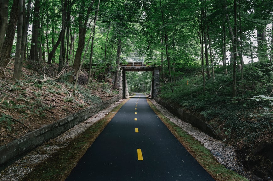 Bike path through dark woods